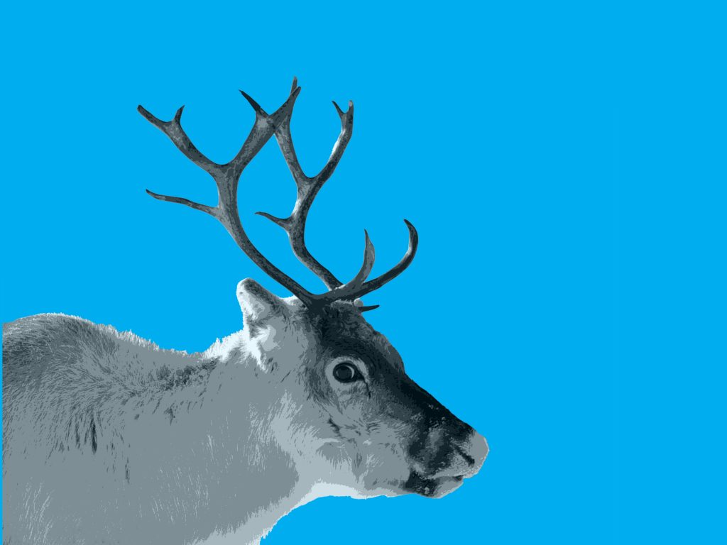 Nordic Film Festival revine la București între 23 - 26 noiembrie