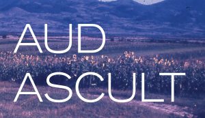 AUD.ASCULT | Sound performance cu Teo Rădulescu