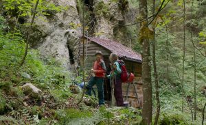 CASTELUL CRĂIȚEI - proiecții speciale în țară, în prezența echipei