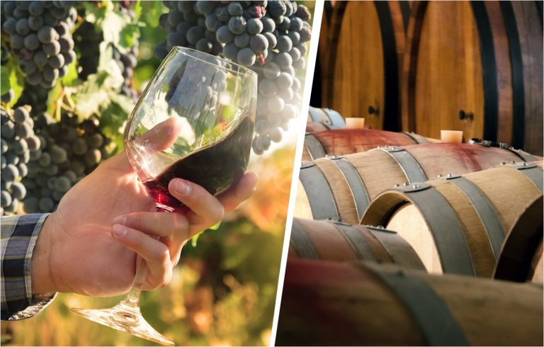 DRINK | Vinuri tinere vs. vinuri baricate