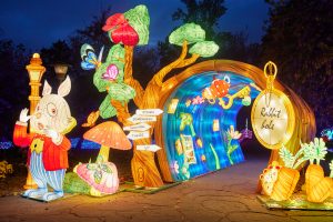 Garden of lights bucuresti gradina botanica
