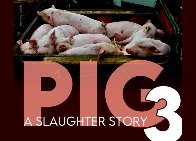 PIG 3 – A SLAUGHTER STORY , 18 – 22 decembrie 2023, Sala Acvariu la Muzeul Național al Țăranului Român