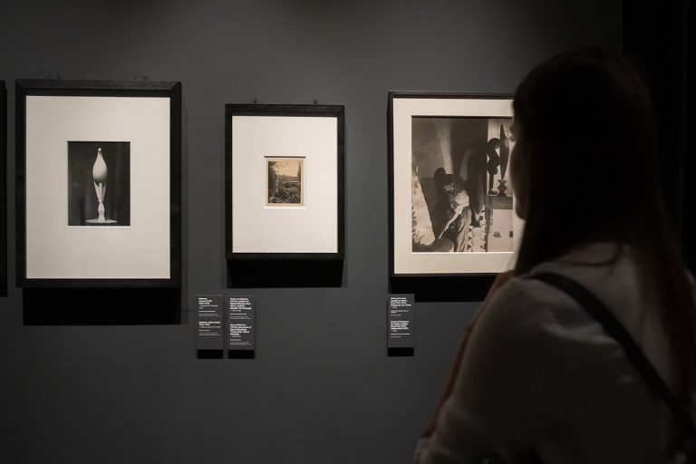 Maraton cultural al expoziției Brâncuși