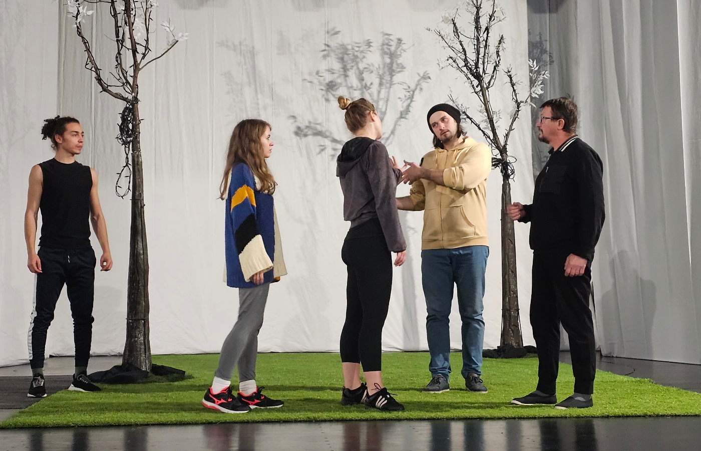 Puck Visul unei nopti de vara Teatrul Ion Creanga TIC