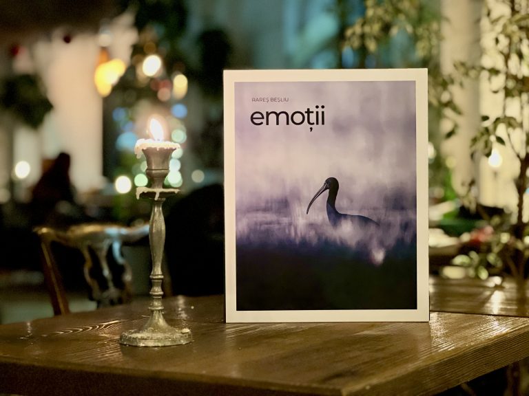 Emoțiile animalelor, reunite acum într-un album fotografic