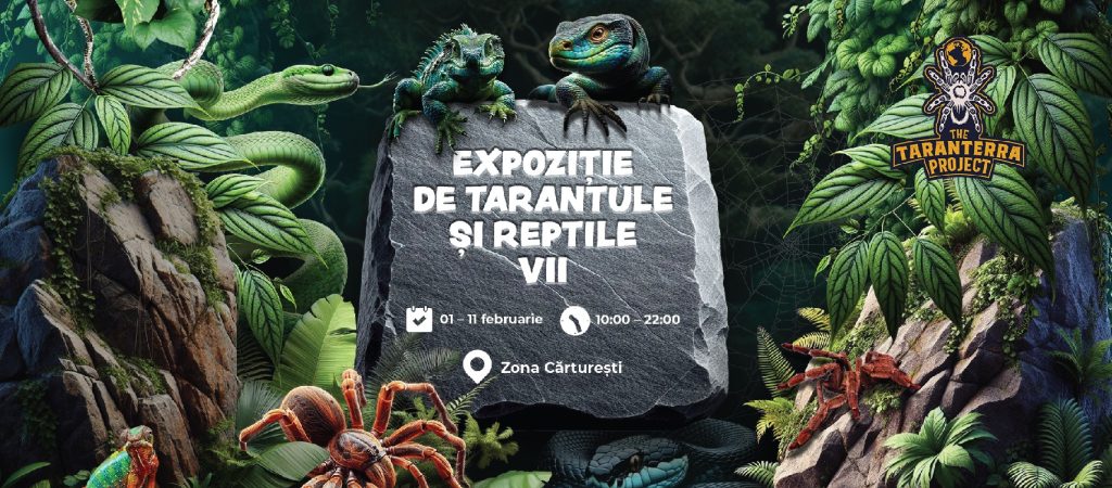Expoziție de reptile și tarantule vi