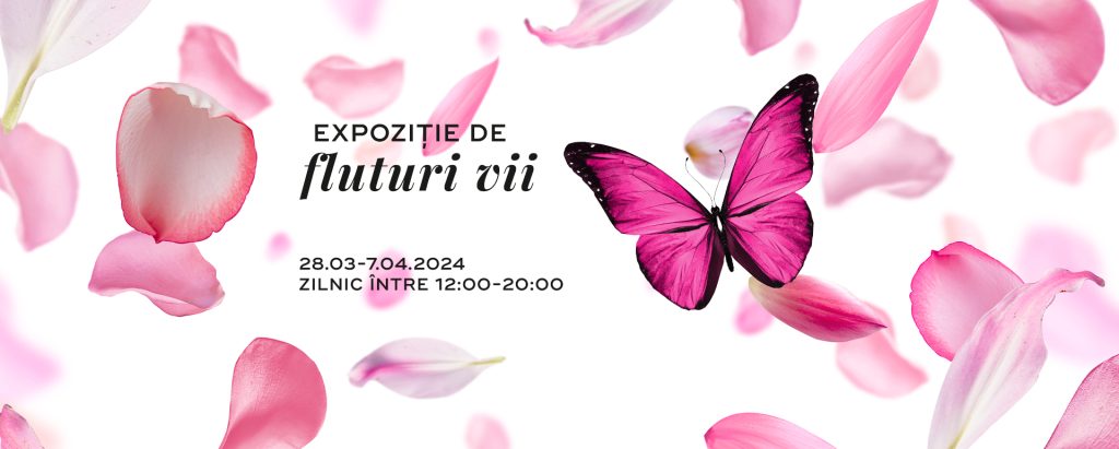 Expoziție de fluturi vii