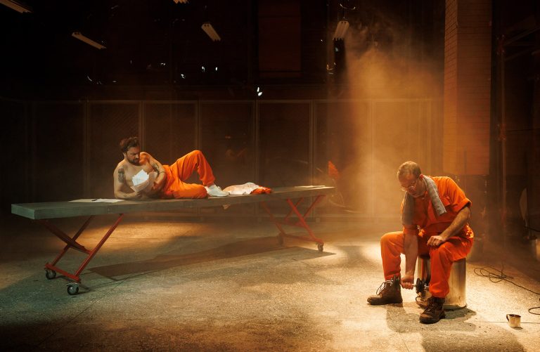Henry Johnson, în premieră națională la Teatrul Metropolis!