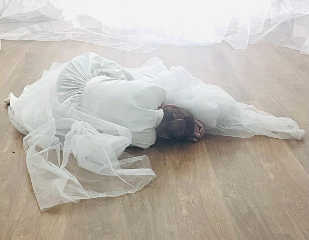 &bdquo;Acasă, pe C&acirc;mpia Armaghedonului&rdquo;, un spectacol după romanul cu același titlu al Martei Petreu