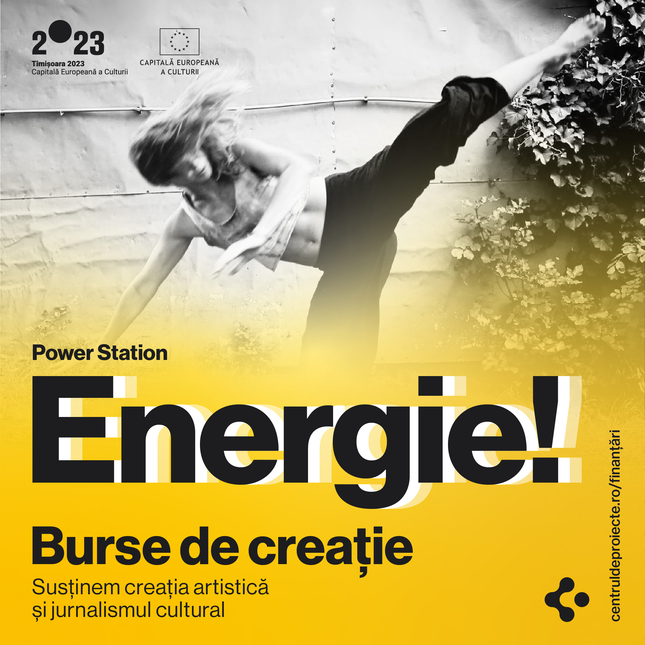 Burse pentru artiști și jurnaliști &icirc;n 2024