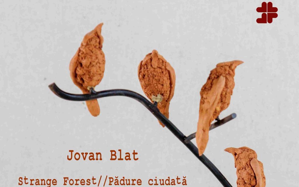 Pădure ciudată
