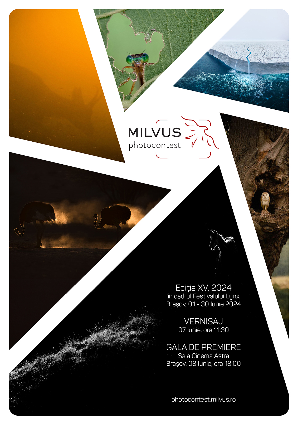 Songs of Earth, produs de Wim Wenders, deschide a doua ediție a LYNX Festival