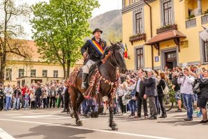 Junii brașoveni