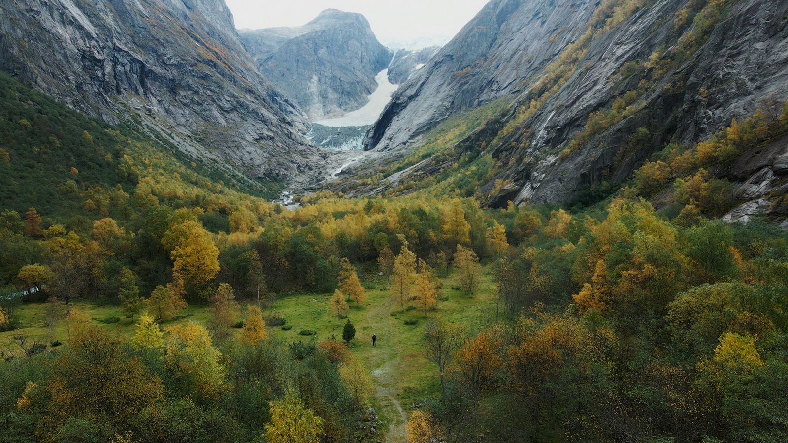 Songs of Earth, produs de Wim Wenders, deschide a doua ediție a LYNX Festival