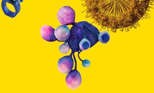 Designeri din întreaga lume aduc colecții excepționale la Târgul internațional de bijuterie contemporană AUTOR de la București