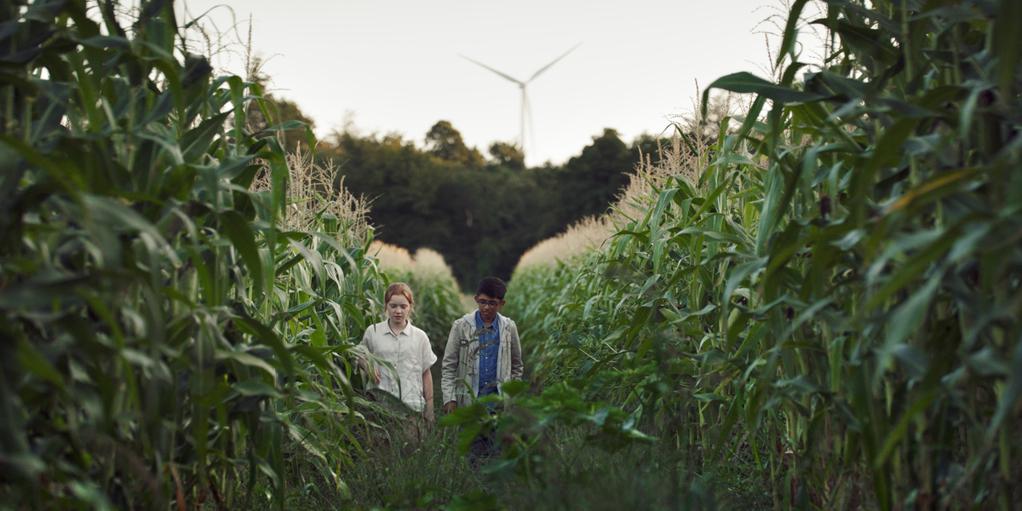 Proiecții de film și tururi ghidate în natură în weekend-ul 18/19 mai, în cadrul cinematecii CULMEA