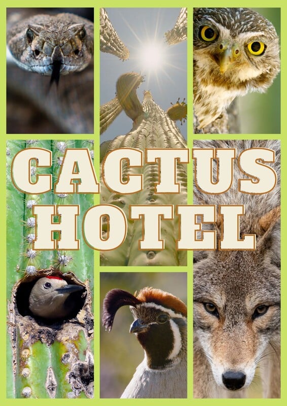 Cactus Hotel este câștigătorul celei de-a doua ediții a LYNX Festival