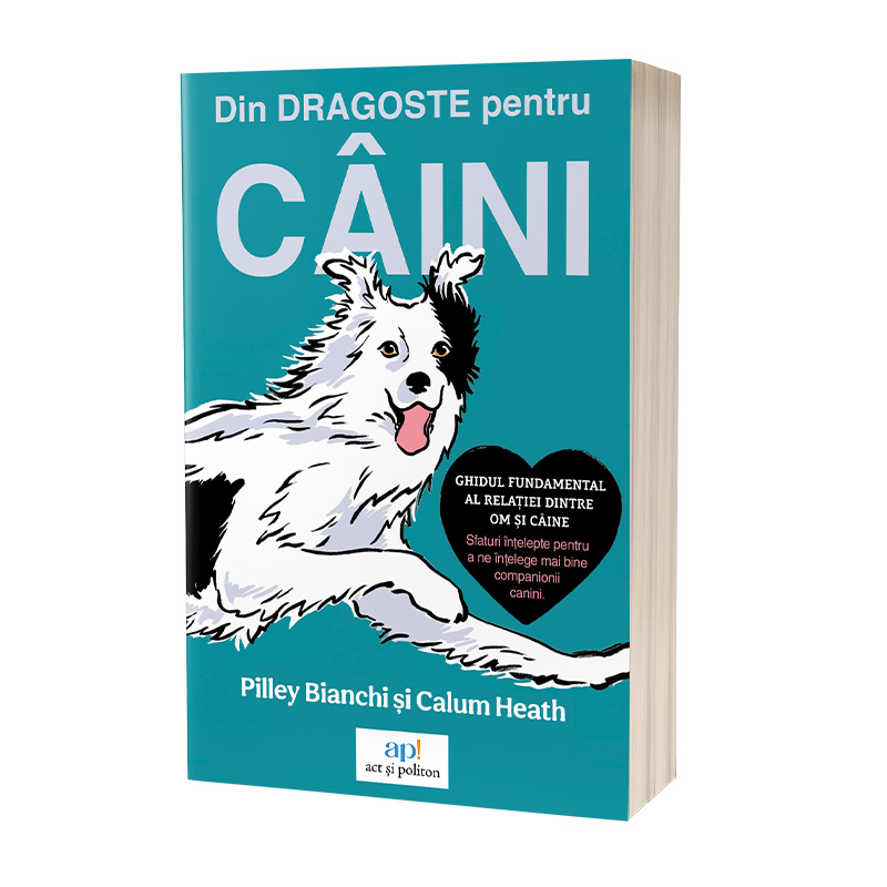 Chaser, cel mai deștept c&acirc;ine din lume, care a &icirc;nvățat peste 1.000 de cuvinte și a apărut pe coperțile revistelor alături de Brad Pitt și Katie Holmes