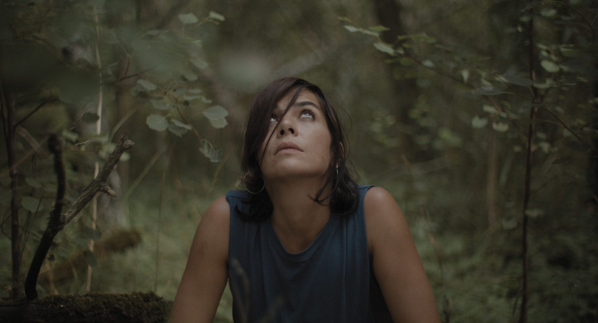 Filme de ficţiune şi documentare bănăţene, în premieră la Festivalul Ceau, Cinema!