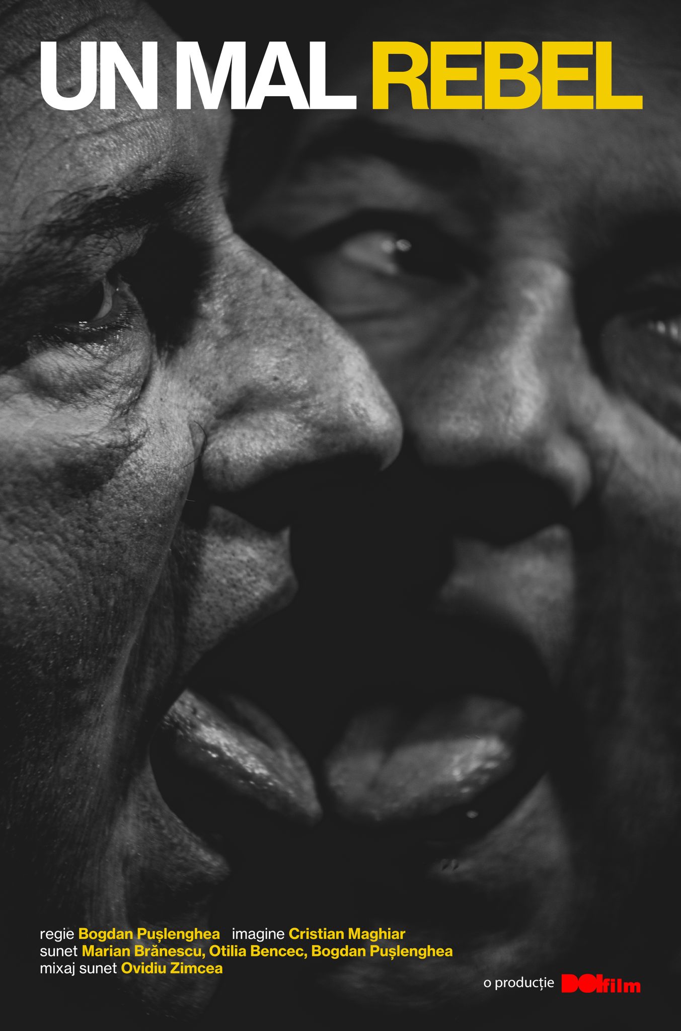 Filme de ficţiune şi documentare bănăţene, în premieră la Festivalul Ceau, Cinema!