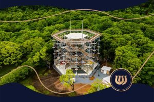 Adrenaline Tower