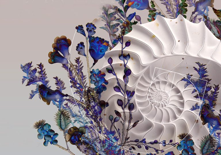 Teatrul de Stat Constanța organizează SEAS - STAGIUNEA ESTIVALĂ A ARTELOR SPECTACOLULUI . Ediția a treia, CONSTANȚA, iulie – septembrie 2024