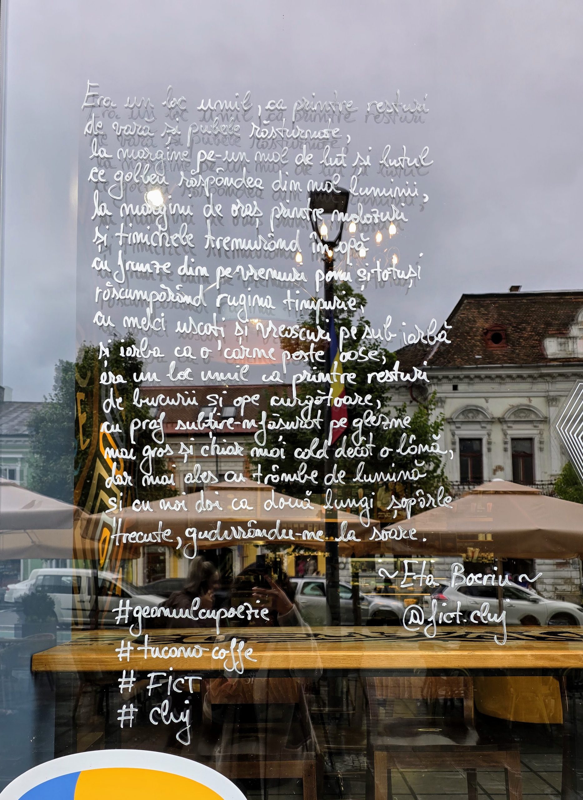 Centrul Clujului s-a umplut de poezie