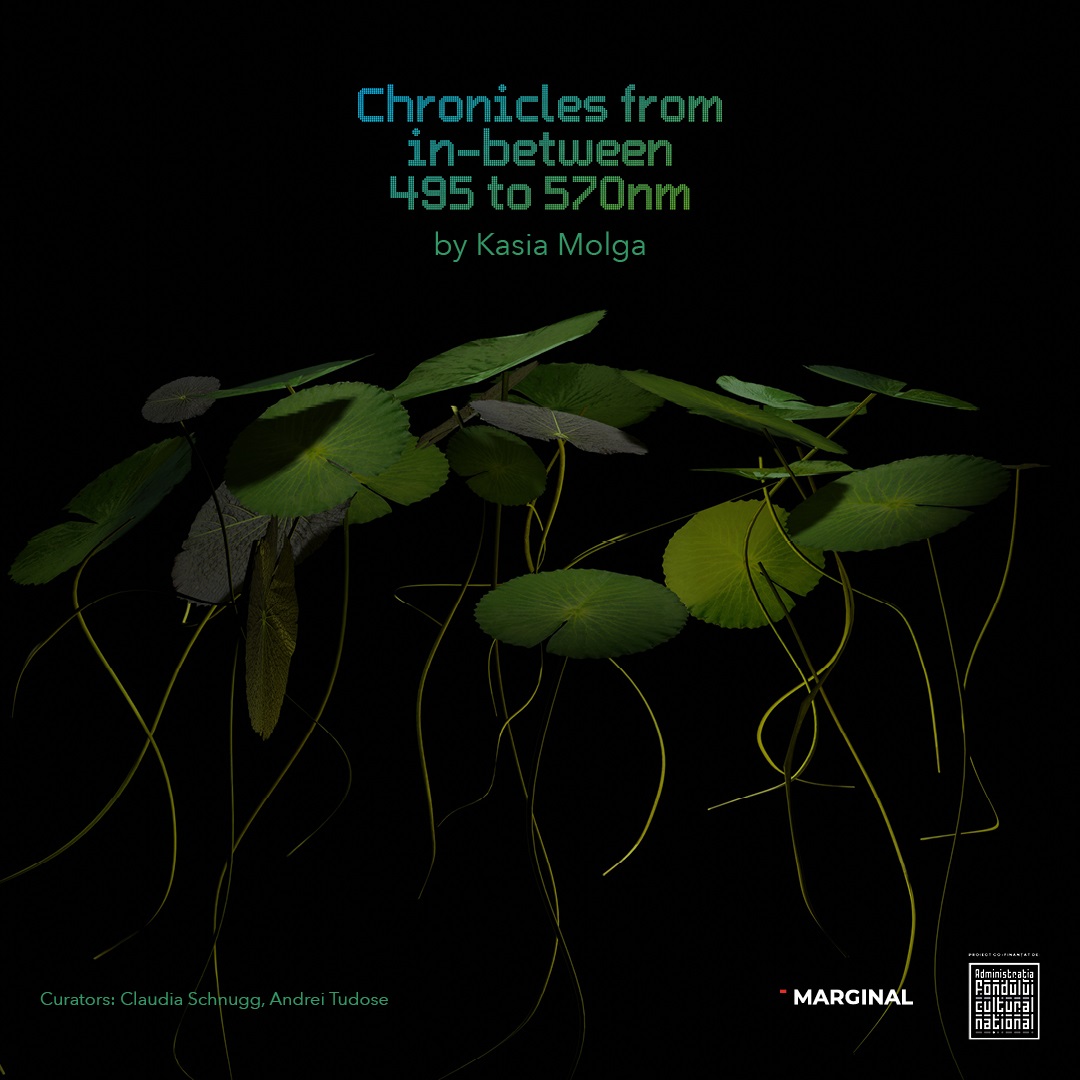 Chronicles from In-Between 495-570 nm - o cronică a lumii naturale evanescente la granița dintre artă, știință și memorie personală