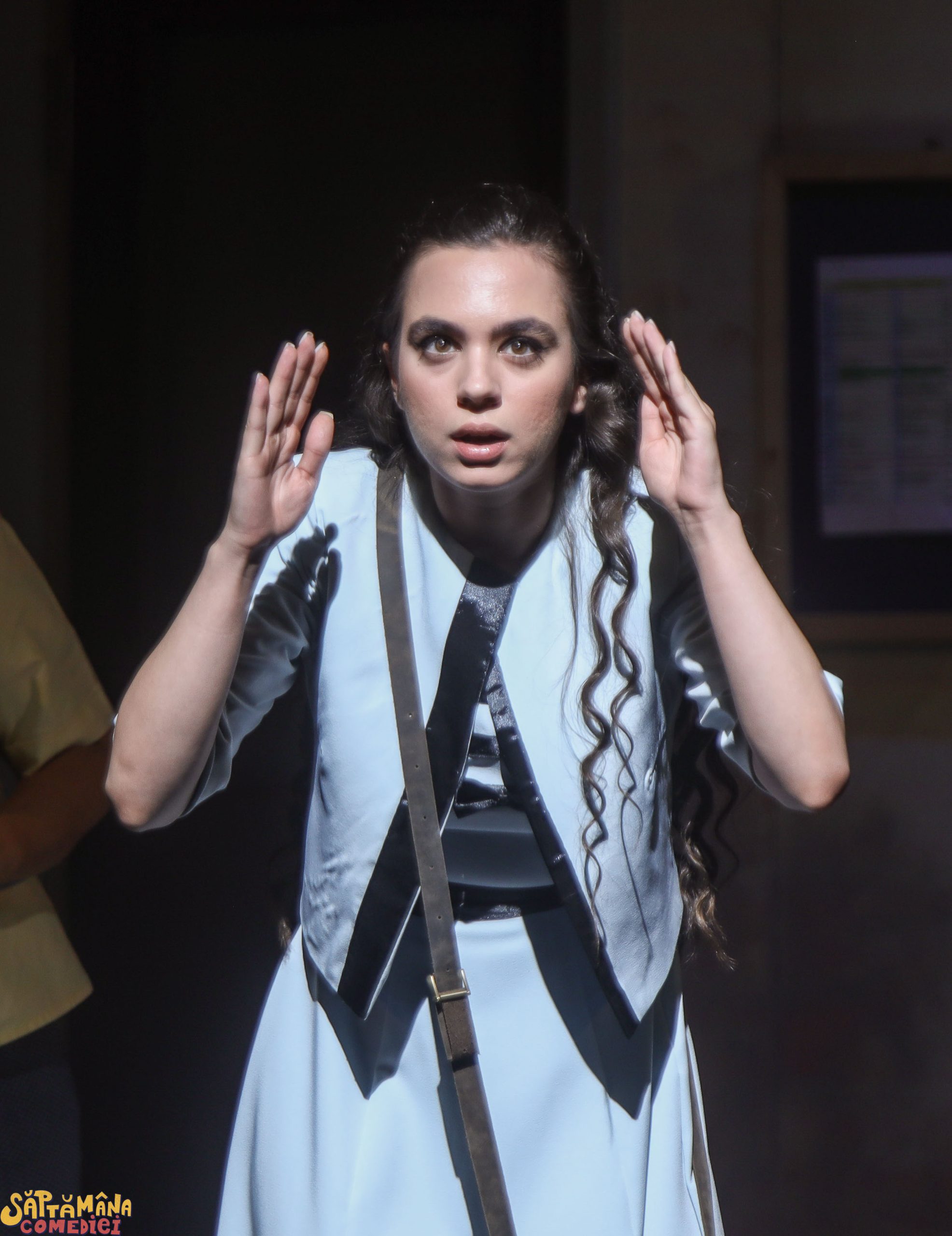 Festivalul „Săptămâna Comediei”, la final. Teatrul de Comedie pleacă acasă cu 3 premii. Care sunt ceilalți câștigători