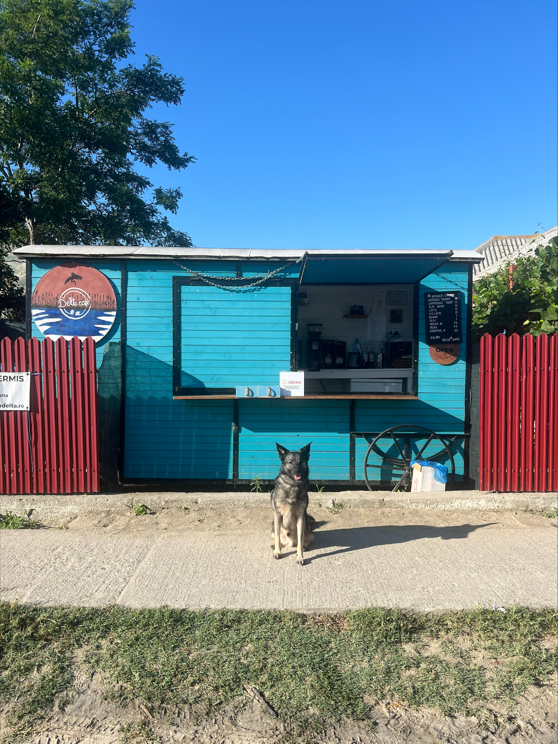 Specialty-Coffee Stop: Delta Cafe Sf&acirc;ntu Gheorghe, locul &icirc;n care se &icirc;nt&acirc;lnesc cinefilii și turiștii
