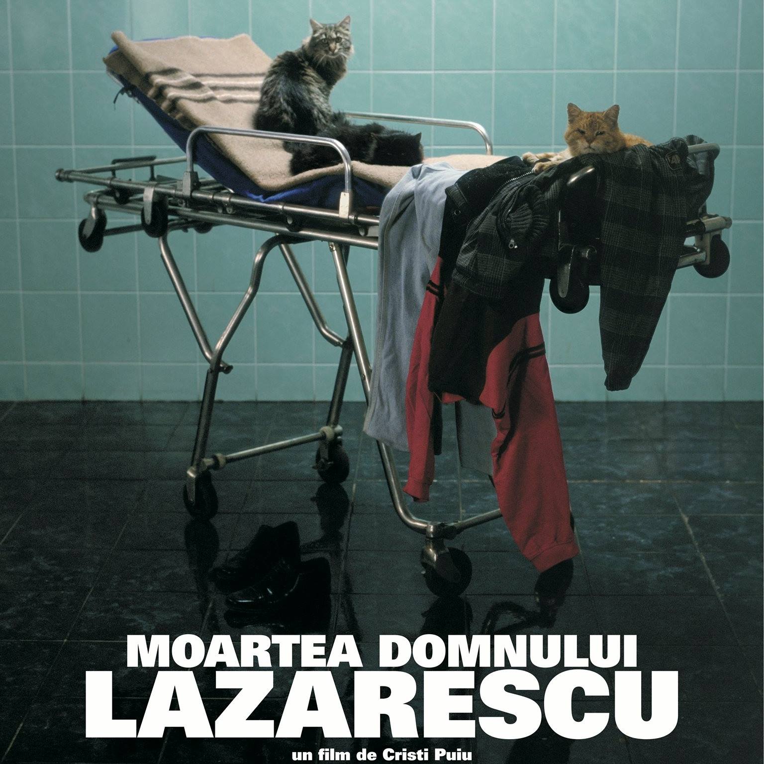 Tapiseria vibrantă a artelor, filmelor și jocurilor de noroc &icirc;n Rom&acirc;nia