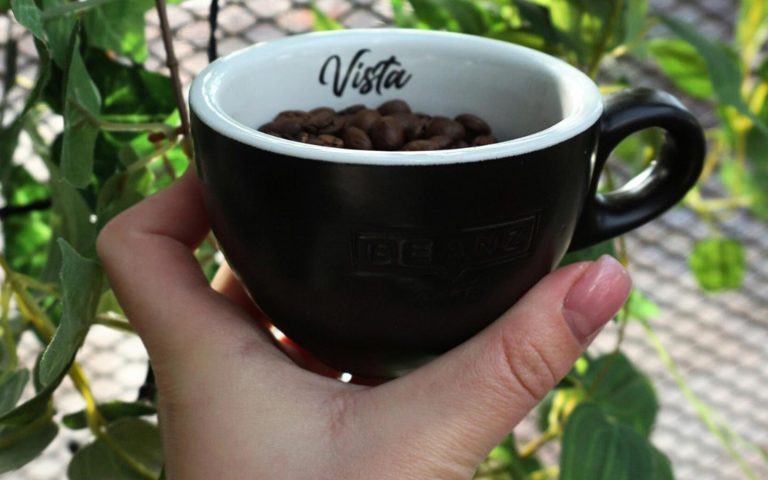 Vista Cafe Slobozia
