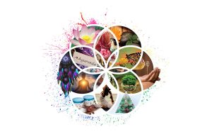 Equilibrum Fest #11, la Sala Polivalentă București