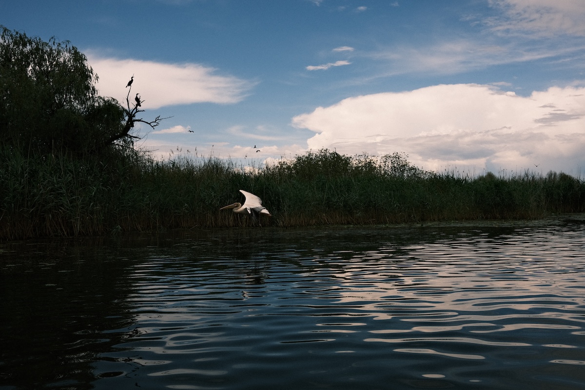Expoziția „Între Ape (Waters of in-betweenness)” debutează la House of European Institutes Timișoara cu o serie impresionantă de evenimente culturale