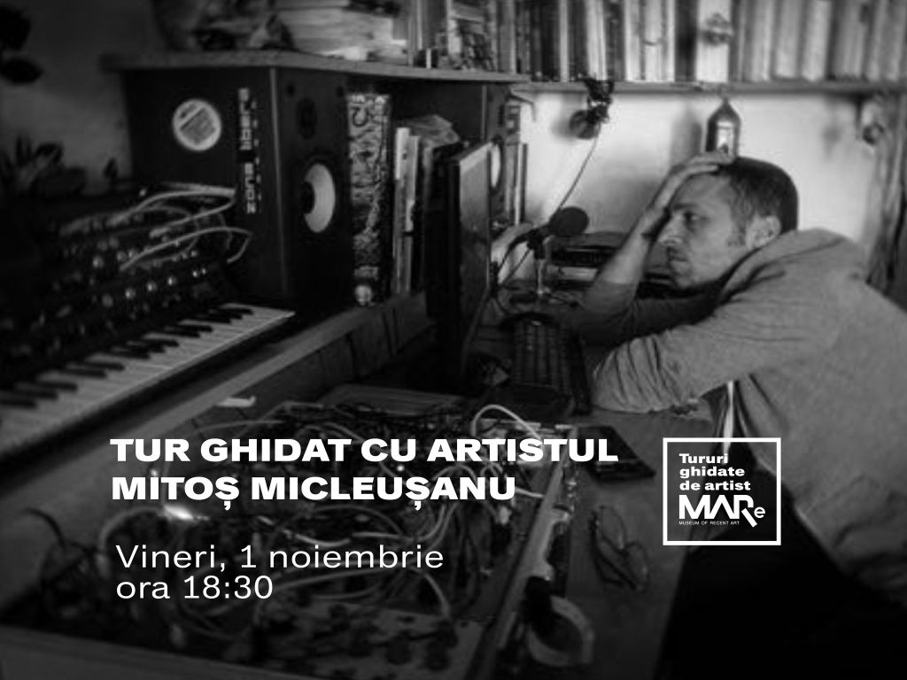 Tur ghidat cu artistul Mitoș Micleușanu