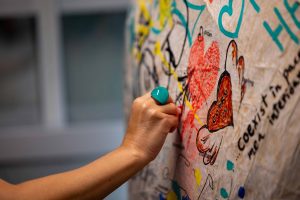 Natura bunului simț, un proiect Environ x CSWeek. Ediția #III _ Galateca și traseu național la Oradea și Timișoara