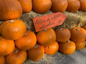 Titan Pumpkin Fest - 2 tone de dovleci așteaptă să fie sculptate