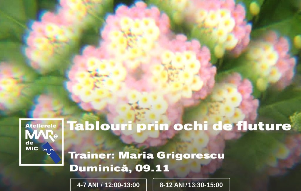 Atelier MARe de Mic - Tablouri prin ochi de fluture