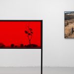 Ecuator Nocturn de Nona Inescu la Galeria Catinca Tabacaru