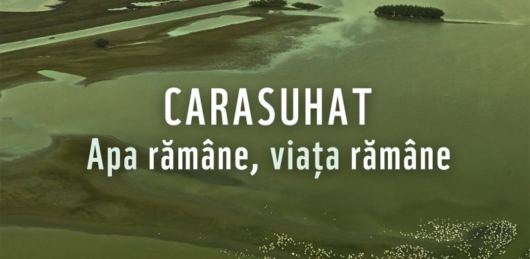 2.500 de hectare din Delta Dunării riscă să dispară, peste noapte