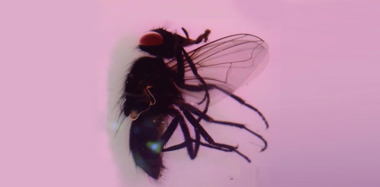 Galeria Catinca Tabacaru și Atelier 35 prezintă deschiderea expoziției personale a Ioanei Mincu What Knots Knot Knots