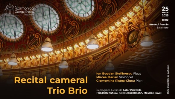 Concert cameral | Trio Brio