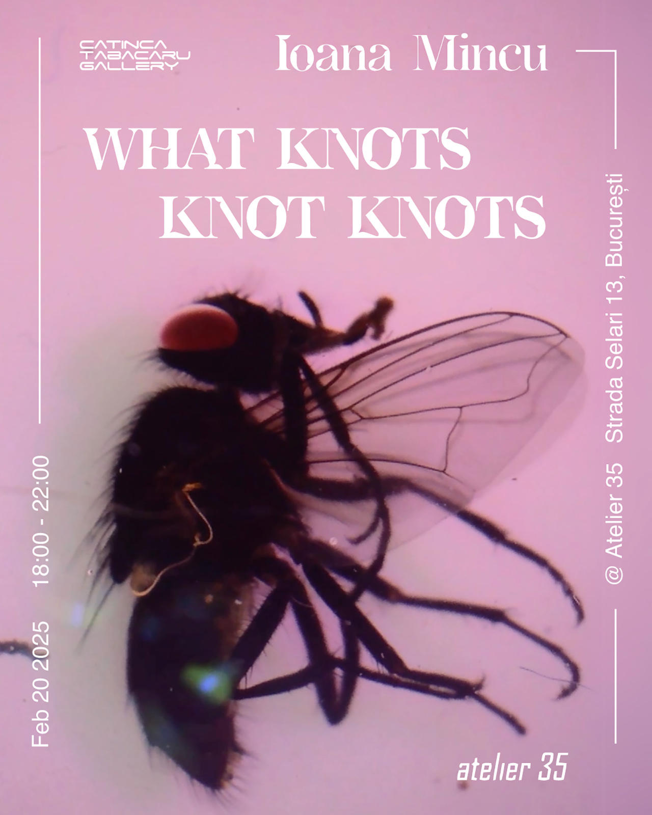 Galeria Catinca Tabacaru și Atelier 35 prezintă deschiderea expoziției personale a Ioanei Mincu What Knots Knot Knots