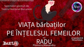 Viața bărbaților pe înțelesul femeilor 