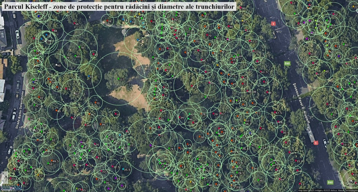 Conferința AsoP București 2025 #AgoraVerde - Inovație și Sustenabilitate în Infrastructura Verde Urbană