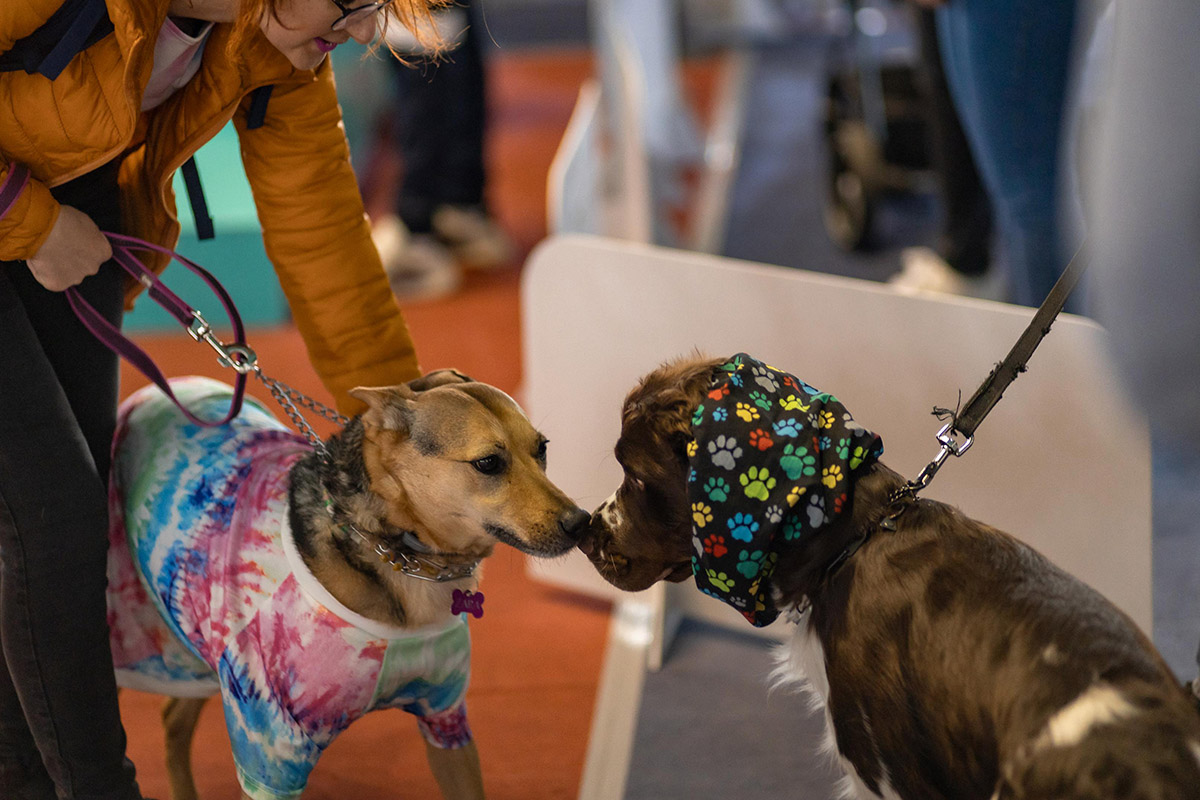 Iubitorii de animale se întâlnesc la PetExpo 2025 – Două zile de spectacol, demonstrații, noutăți și oferte speciale!