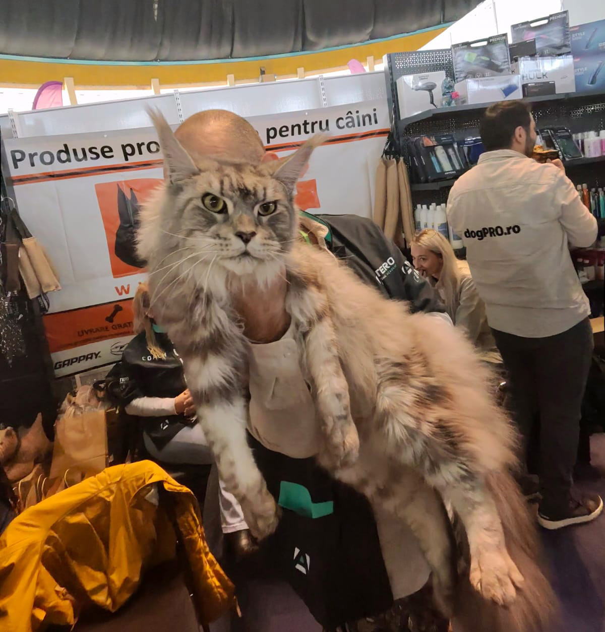 Iubitorii de animale se întâlnesc la PetExpo 2025 – Două zile de spectacol, demonstrații, noutăți și oferte speciale!