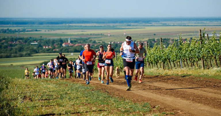 Competiția sportivă de alergare în natură „La Petrovaselo în vie”