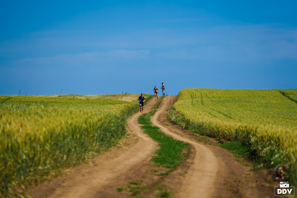 Competiția sportivă de alergare &icirc;n natură &bdquo;La Petrovaselo &icirc;n vie&rdquo;