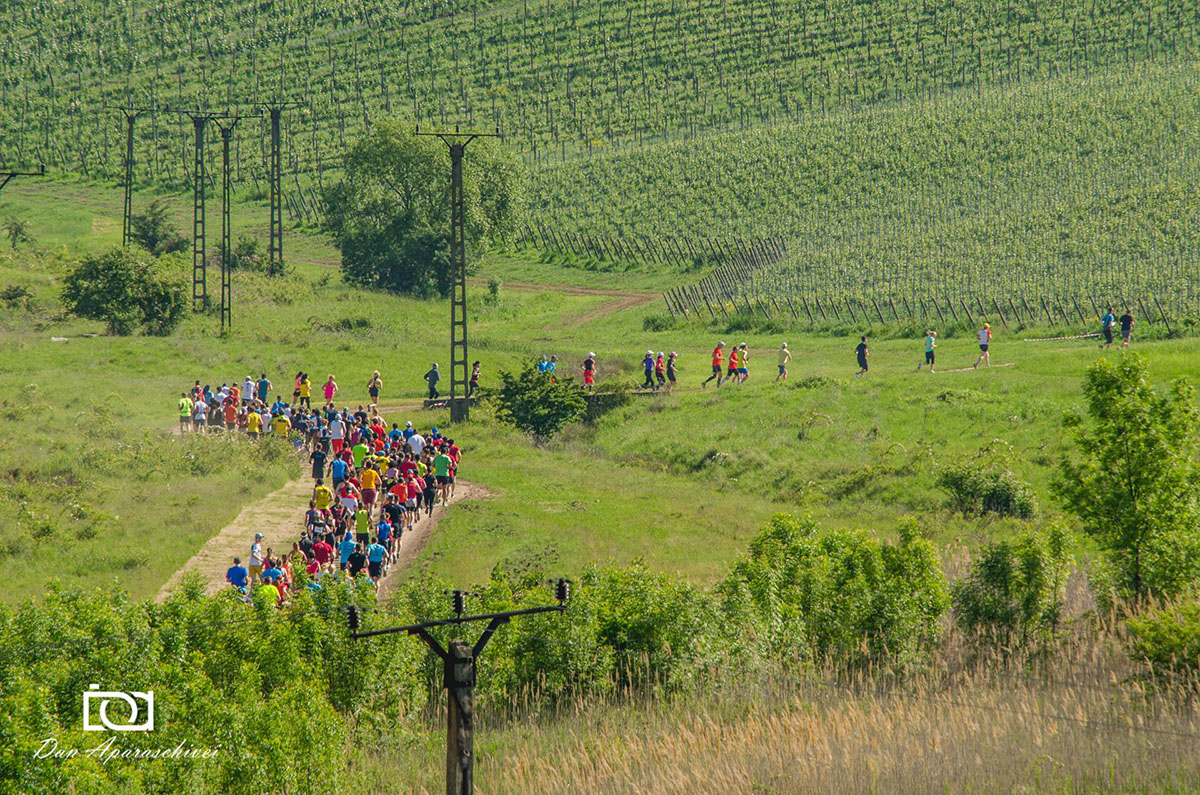 Competiția sportivă de alergare &icirc;n natură &bdquo;La Petrovaselo &icirc;n vie&rdquo;
